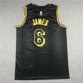 Camiseta LeBron James #6 Los Angeles Lakers City Edición Negro Camiseta LeBron James #6 Los Angeles Lakers City Edición Negro