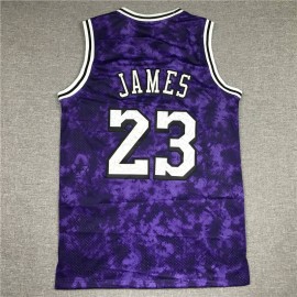 Camiseta LeBron James #23 Los Angeles Lakers Astrología Edición Púrpura Camiseta LeBron James #23 Los Angeles Lakers Astrología Edición Púrpura