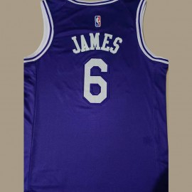 Camiseta LeBron James #6 Los Angeles Lakers Púrpura Camiseta LeBron James #6 Los Angeles Lakers Púrpura