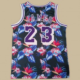 Camiseta LeBron James #23 Los Angeles Lakers Clásico Edition Negro Estampado Camiseta LeBron James #23 Los Angeles Lakers Clásico Edition Negro Estampado