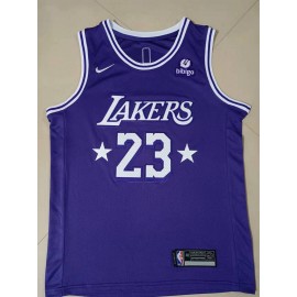 Camiseta LeBron James #23 Los Angeles Lakers Púrpura