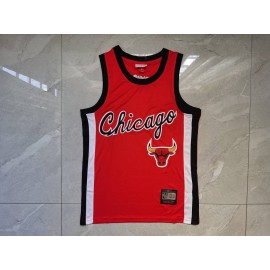 Camiseta Chicago Bulls 2023 Rojo