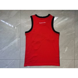 Camiseta Chicago Bulls 2023 Rojo