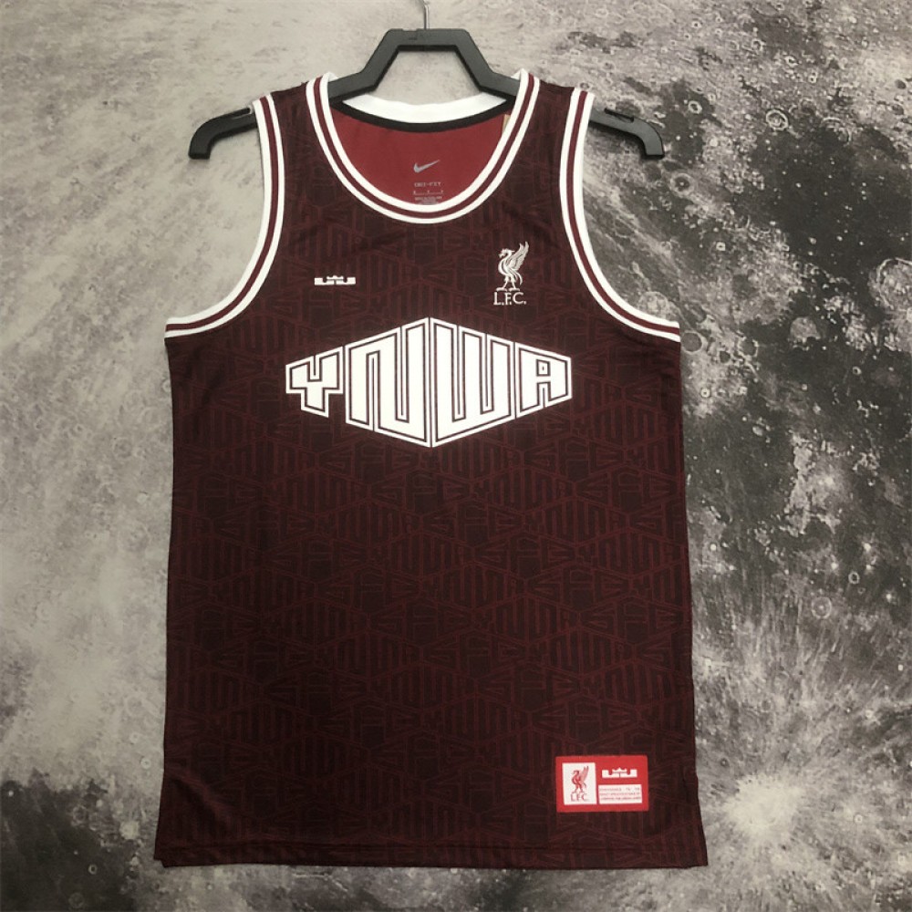 Camiseta Lebron James #6 X Liverpool FC Camiseta Lebron James #6 X Liverpool FC