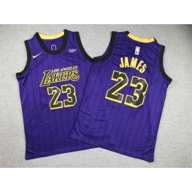 Camiseta LeBron James #23 Los Angeles Lakers 2023 Niño