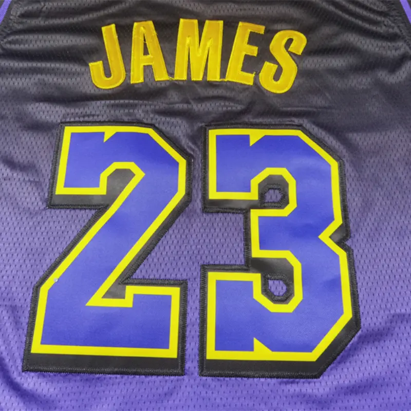 Camiseta Lebron James #23 Los Angeles Lakers 2025 Morado City Edition Camiseta Lebron James #23 Los Angeles Lakers 2025 Morado City Edition