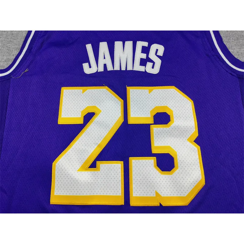 Camiseta Lebron James #23 Los Angeles Lakers 2026 Morado Statement Edition