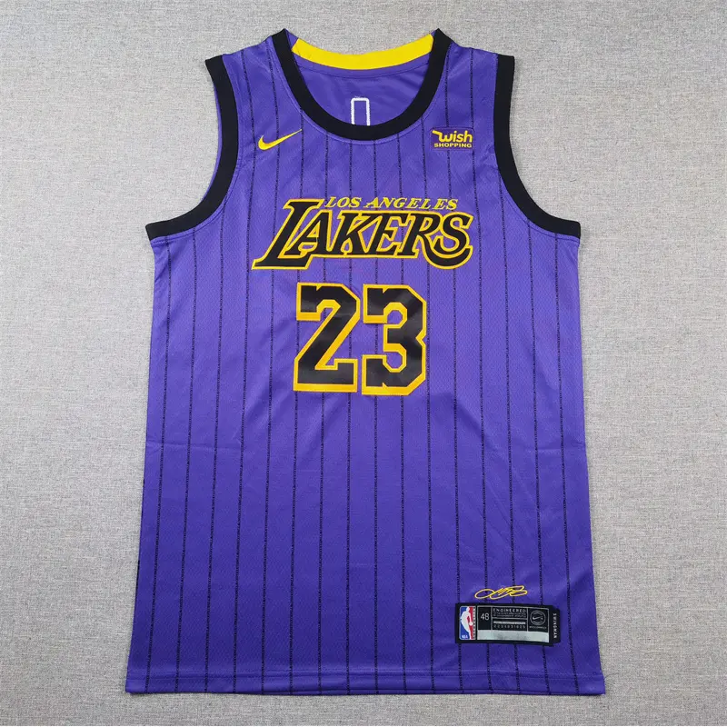 Camiseta Lebron James #23 Los Angeles Lakers Morado Con Rayas City Edition