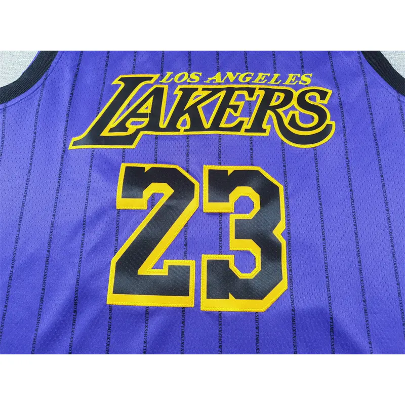 Camiseta Lebron James #23 Los Angeles Lakers Morado Con Rayas City Edition