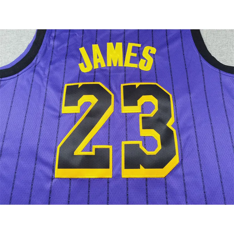 Camiseta Lebron James #23 Los Angeles Lakers Morado Con Rayas City Edition