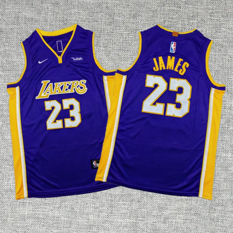 Camiseta Lebron James #23 Los Angeles Lakers Morado Cuello en V Niño