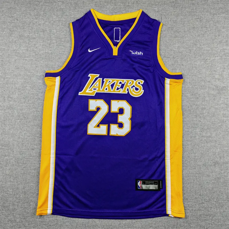 Camiseta Lebron James #23 Los Angeles Lakers Morado Cuello en V Niño