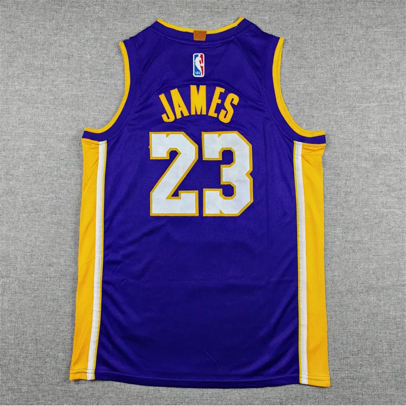Camiseta Lebron James #23 Los Angeles Lakers Morado Cuello en V Niño