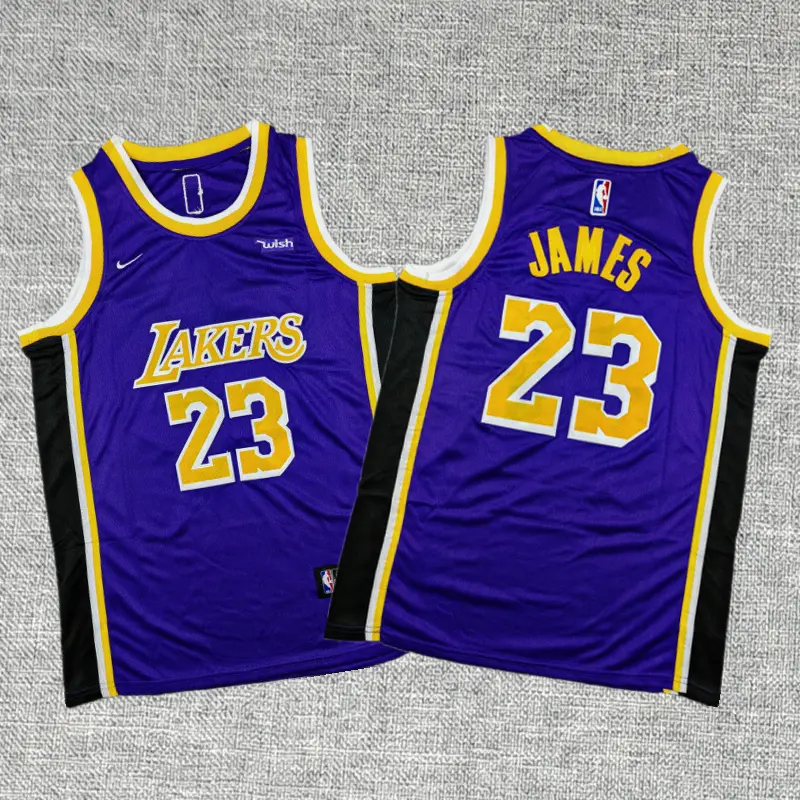 Camiseta Lebron James #23 Los Angeles Lakers Morado Cuello Redondo Niño