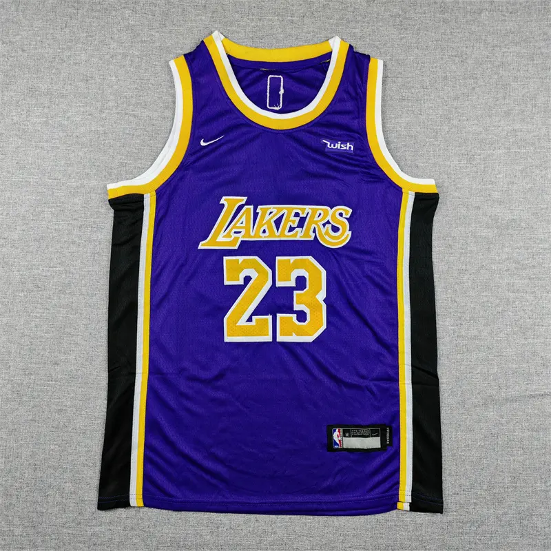 Camiseta Lebron James #23 Los Angeles Lakers Morado Cuello Redondo Niño