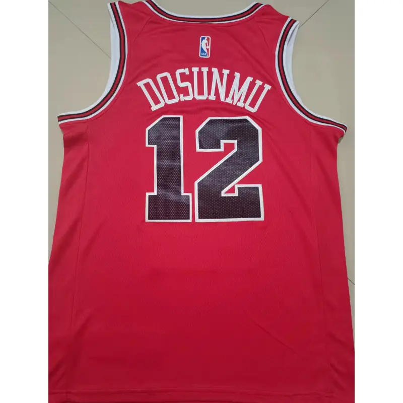 Camiseta Ayo Dosunmu #12 Chicago Bulls Rojo