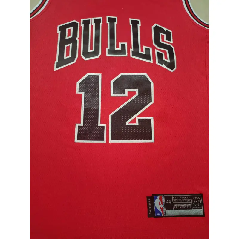 Camiseta Ayo Dosunmu #12 Chicago Bulls Rojo