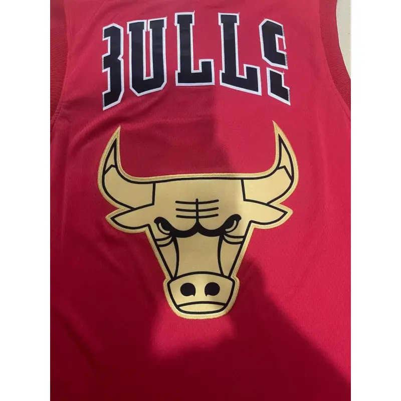 Camiseta Chicago Bulls Rojo Cabeza de toro Edition