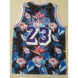 Camiseta LeBron James #23 Los Angeles Lakers 2019 Estampado Edition