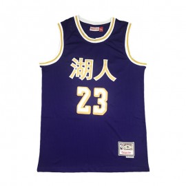 Camiseta LeBron James #23 Los Angeles Lakers 19/20 Púrpura Chinese Edition