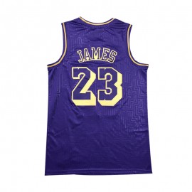 Camiseta LeBron James #23 Los Angeles Lakers Púrpura Mouse Limited Edition