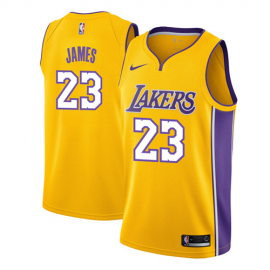 Camiseta LeBron James #23 Los Angeles Lakers Amarillo Icon Edition