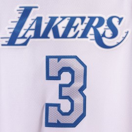 Camiseta Anthony Davis #3 Los Angeles Lakers 2021 Blanco City Edition Camiseta Anthony Davis #3 Los Angeles Lakers 2021 Blanco City Edition