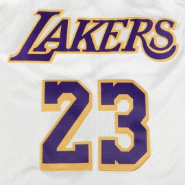Camiseta LeBron James #23 Los Angeles Lakers 2021 Blanco