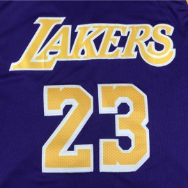 Camiseta LeBron James #23 Los Angeles Lakers 2021 Purpura Camiseta LeBron James #23 Los Angeles Lakers 2021 Purpura
